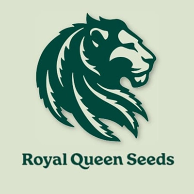 Royal Queen Seed